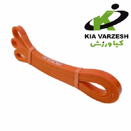 کش پاورباند 2 میل روگ ROGUE - مشخصات، قیمت و خرید