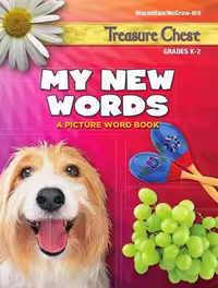 Treasure Chest My New Words Picture Word Book رنگی