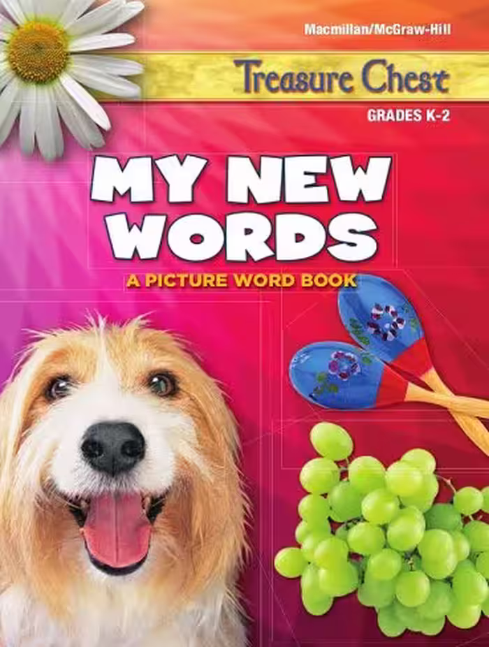 Treasure Chest My New Words Picture Word Book رنگی