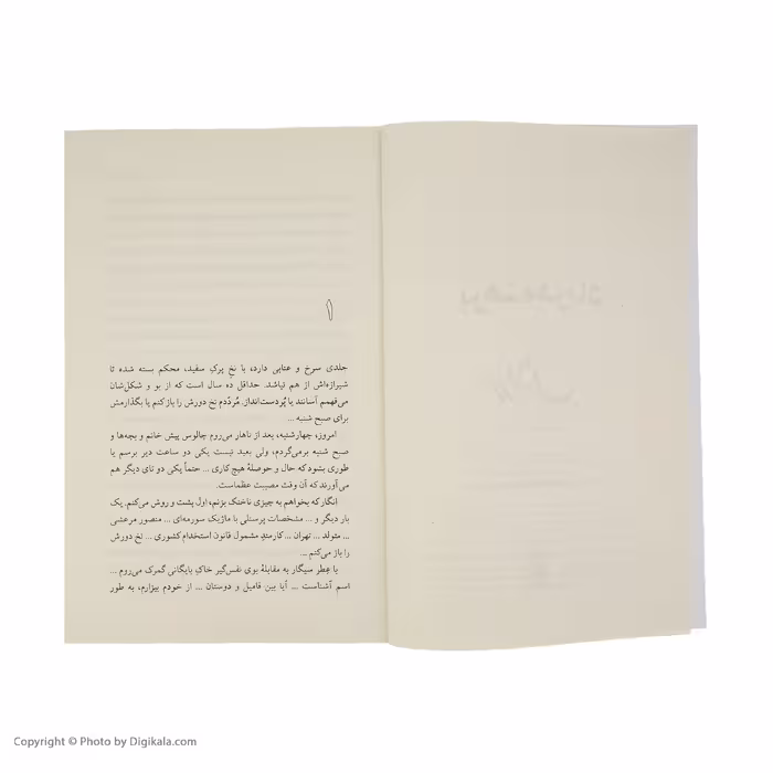 کتاب برهنه در باد اثر محمد محمد علی نشر مرکز