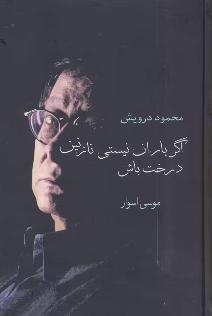 کتاب اگر باران نیستی نازنین درخت باش
