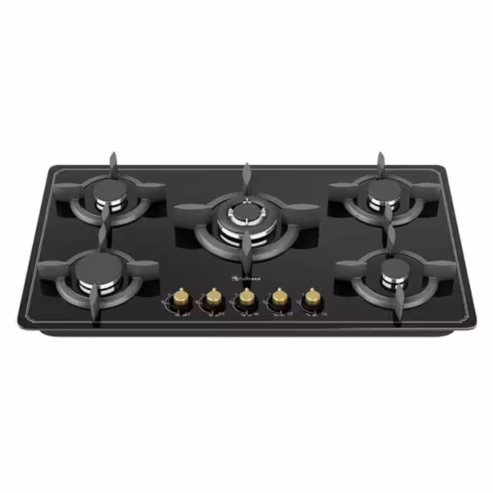 اجاق گاز داتیس مدل DG-542 کلاسیک
