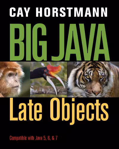 خرید و دانلود نسخه کامل کتاب Big Java Late Objects