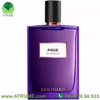عطر ادکلن مولینارد فیگی ادو پرفیوم 100 میل مردانه - زنانه