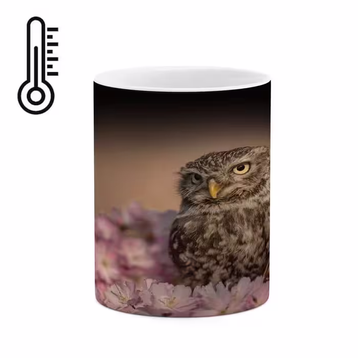 ماگ حرارتی کاکتی طرح جغد مدل mgh16251
