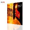 تابلو دیواری آفتاب مدل M119