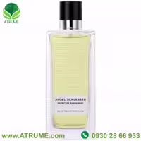 عطر ادکلن آنجل شلیسر اسپریت د جینجنبر پور فمه 100 میل زنانه