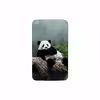 برچسب پوششی ماهوت مدل Panda مناسب برای تبلت سامسونگ Galaxy Tab 3 8.0 2013 T310