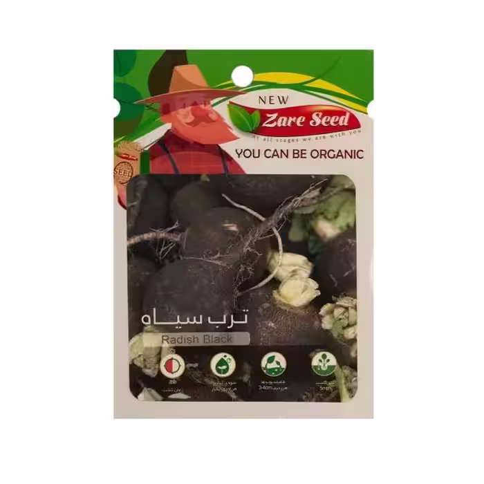 بذر ترب سیاه گرد (تربچه سیاه) به همراه روش کاشت/ قیمت+خرید
