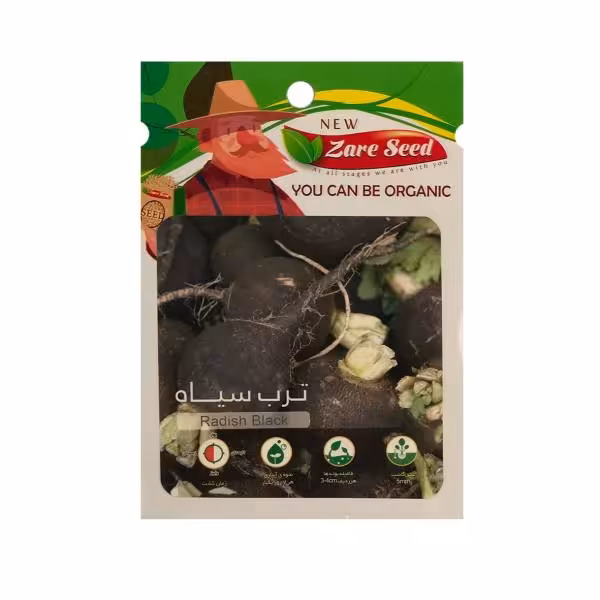 بذر ترب سیاه گرد (تربچه سیاه) به همراه روش کاشت/ قیمت+خرید
