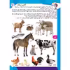 کتاب کار مغز خلاق مفاهیم 1 میبینم یاد میگیرم اثر فاطمه قدیانی و مهری عربیه انتشارات برف