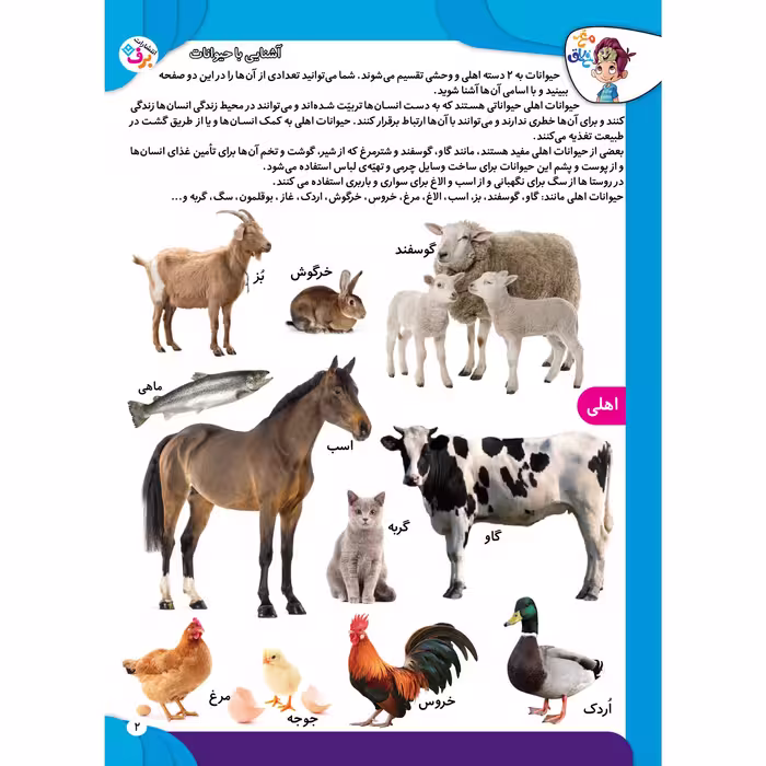 کتاب کار مغز خلاق مفاهیم 1 میبینم یاد میگیرم اثر فاطمه قدیانی و مهری عربیه انتشارات برف