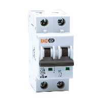 کلید مینیاتوری 2 پل 50 آمپر RB-M-2P-C50-6KA رعد