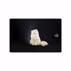 برچسب پوششی ماهوت مدل Persian cat مناسب برای تبلت سامسونگ Galaxy Tab S3 9.7 2017 T825