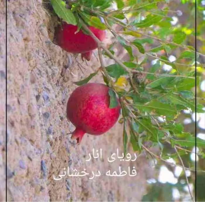 PDF نسخه کامل  رمان رویای انار  به قلم فاطمه درخشانی در ژانر عاشقانه