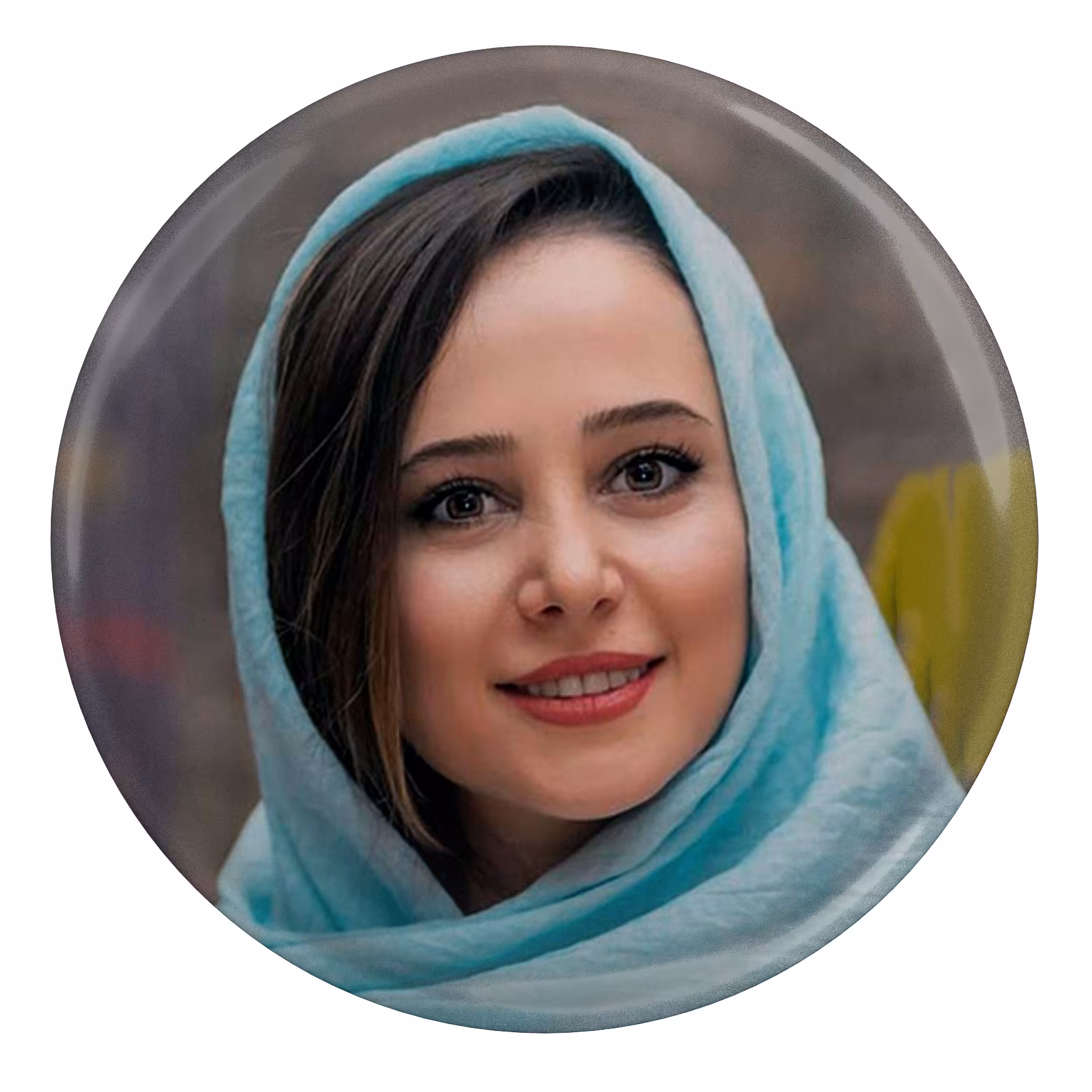 پیکسل مدل بازیگر الناز حبیبی S8064