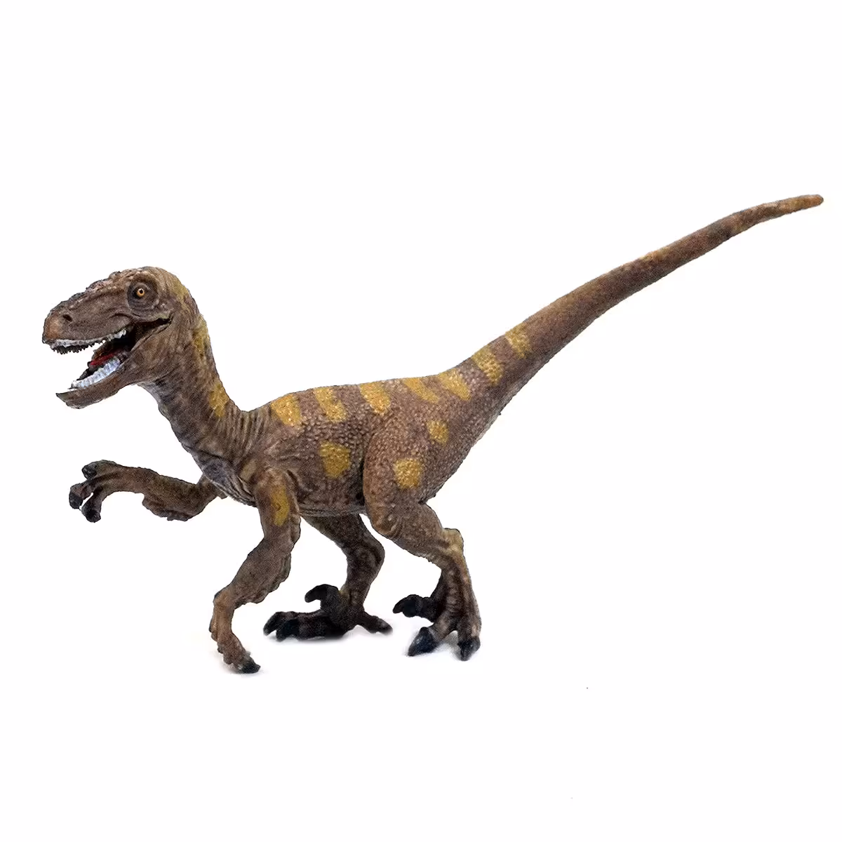 فیگور طرح دایناسور ولوسیراپتور مدل 95 Velociraptor