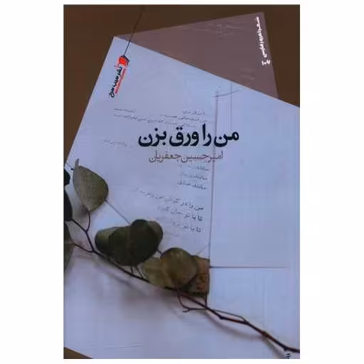 کتاب من را ورق بزن اثر امیرحسین جعفریان