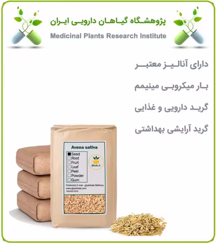 بذر جو دوسر خشک فله