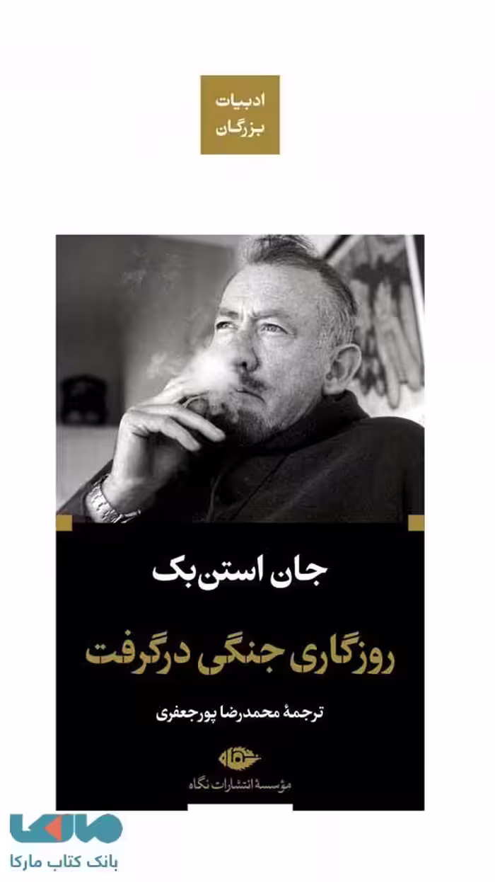 روزگاری جنگی درگرفت (ادبیات بزرگان) موسسه انتشارات نگاه