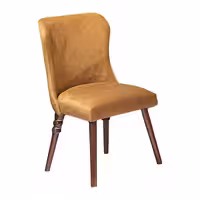 صندلی نهارخوری پانیذ