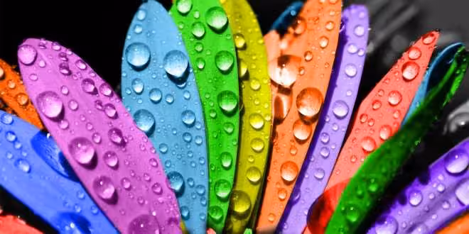 تحقیق نقش موثر رنگ ها در طول تاریخ