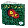 کتاب دالی چی؟ دالی کی؟ اثر نینا لیدن انتشارات نردبان