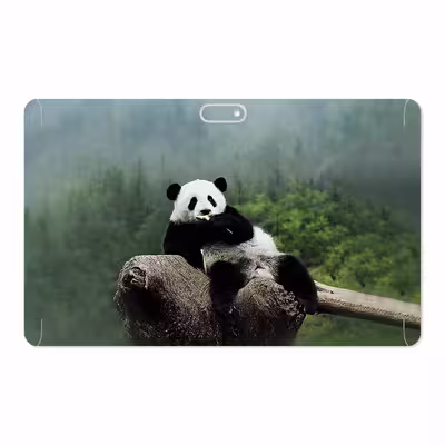 برچسب پوششی ماهوت مدل Panda مناسب برای تبلت جی ال ایکس W11 Plus