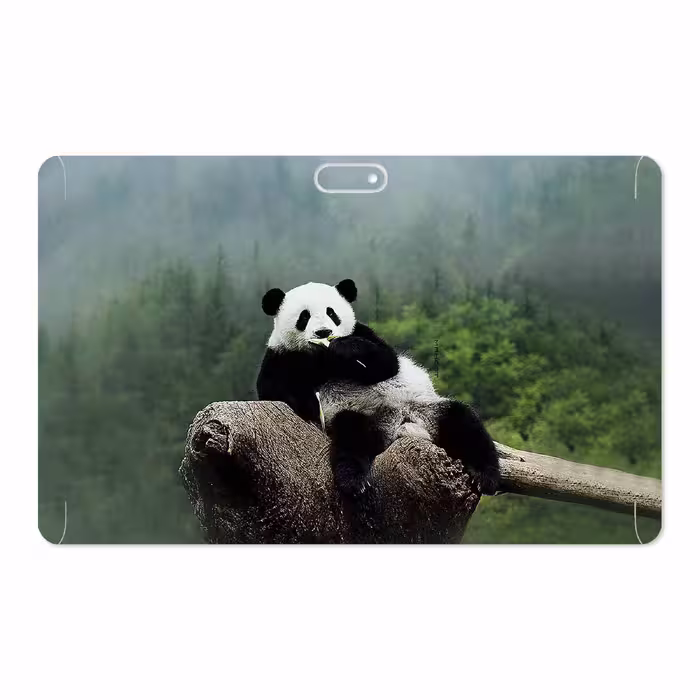 برچسب پوششی ماهوت مدل Panda مناسب برای تبلت جی ال ایکس W11 Plus