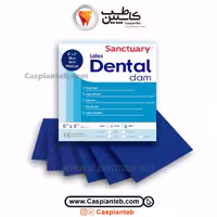 مشخصات، قیمت و خرید لاستیک رابردم سنکچوری Sanctuary | caspianteb