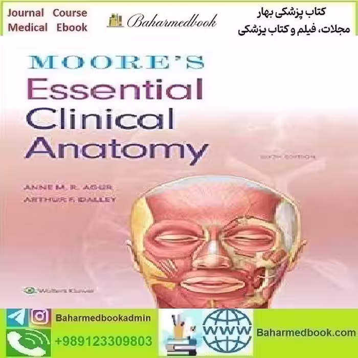 Moore's Essential Clinical Anatomy 2019 TRUE PDF price 1€ - کتاب پزشکی بهار