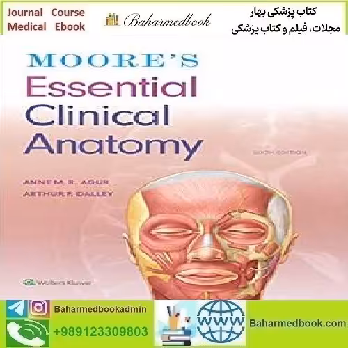 Moore's Essential Clinical Anatomy 2019 TRUE PDF price 1€ - کتاب پزشکی بهار