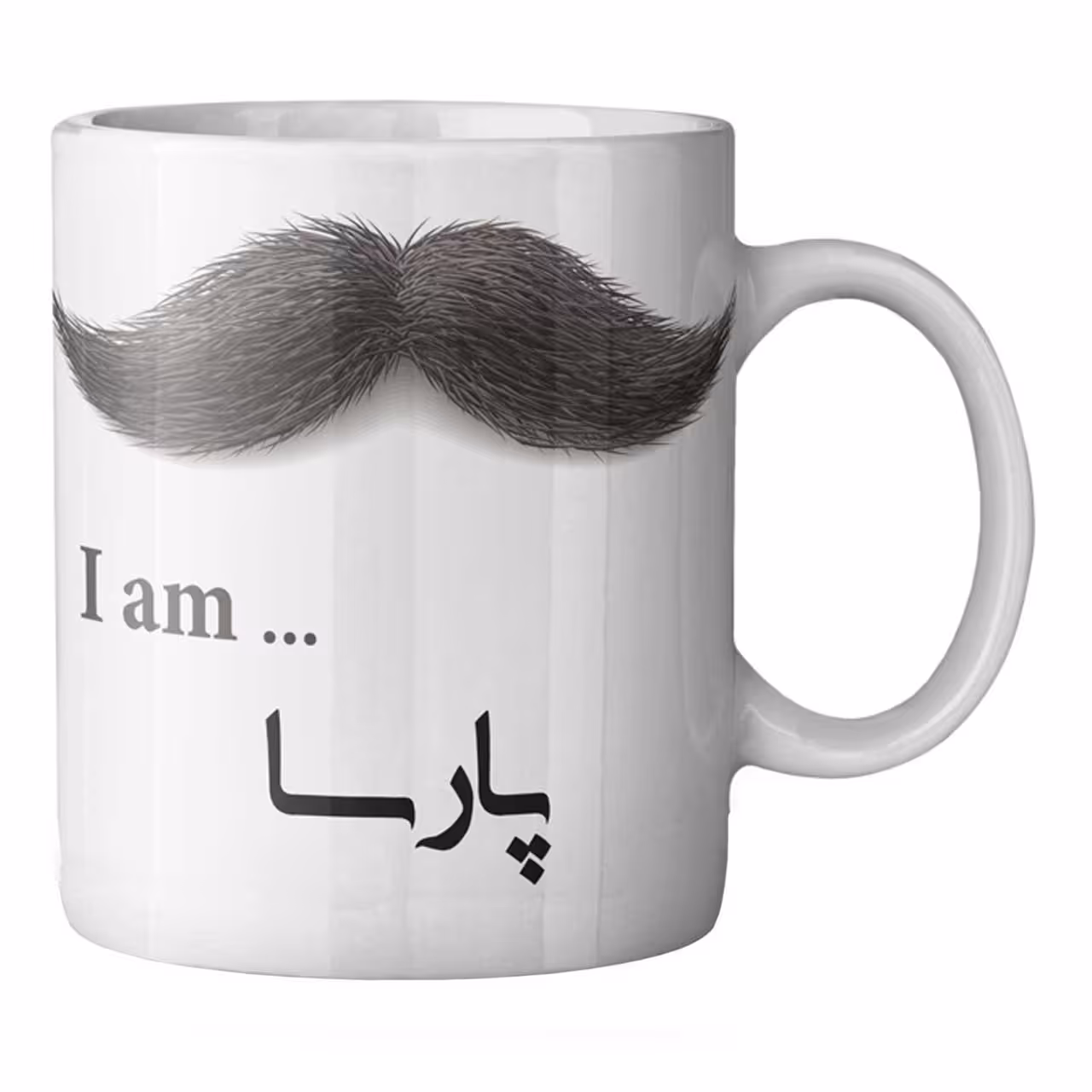 ماگ ماگستان مدل پارسا