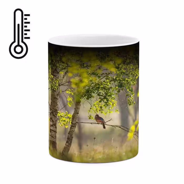 ماگ حرارتی کاکتی طرح منظره مدل mgh16908