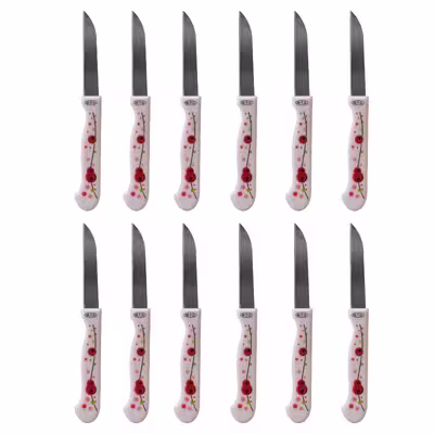 کارد میوه خوری مدل Joint-ch-03 بسته 12 عددی