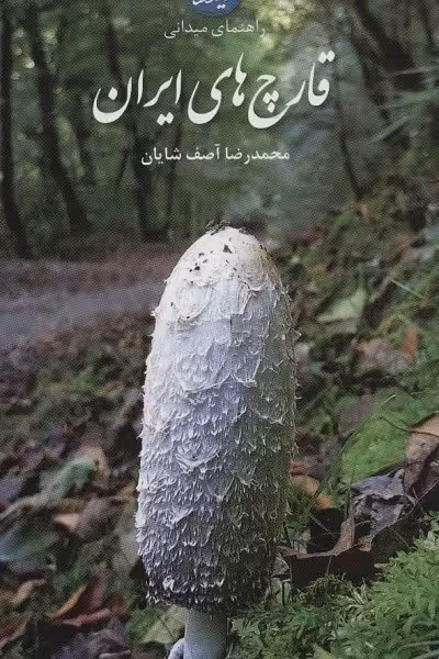 راهنمای میدانی قارچ های ایران (گلاسه)