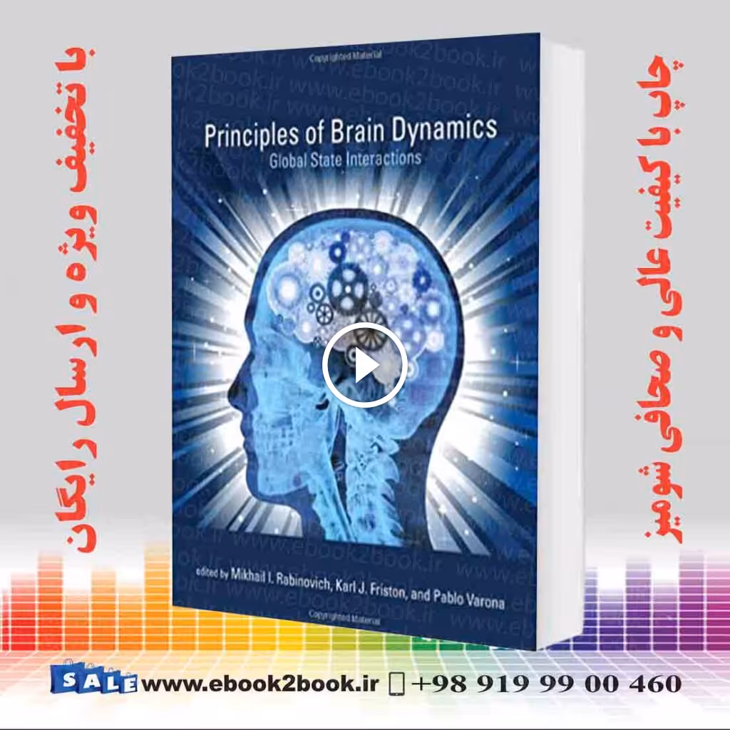 Principles of Brain Dynamics