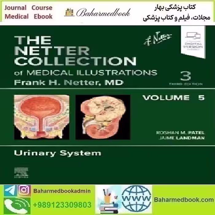 The Netter Collection of Medical Illustrations Urinary System