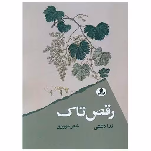 کتاب رقص تاک اثر ندا دشتی