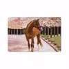 برچسب پوششی ماهوت مدل Horse-1 مناسب برای تبلت سامسونگ Galaxy Tab S5e 10.5 2019 T720