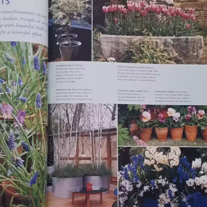 كتاب Late Spring اثر جمعي از نويسندگان انتشارات ریدرز دایجست