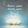 کتاب خیلی بزرگ خیلی کوچک اثر دکتر عبدالعظیم سالاریان انتشارات پازینه