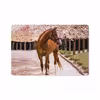 برچسب پوششی ماهوت مدل Horse-1 مناسب برای تبلت هوآوی Mediapad M6 10.8 2019