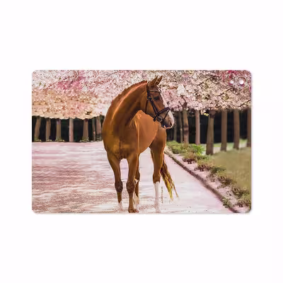 برچسب پوششی ماهوت مدل Horse-1 مناسب برای تبلت هوآوی Mediapad M6 10.8 2019