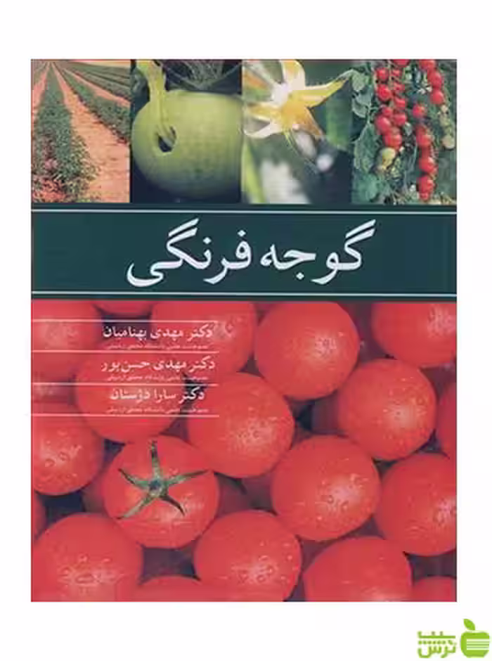 گوجه فرنگی سارا دژستان آییژ - سیب ترش - SibTorsh خرید با تخفیف ویژه