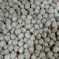 نخود متوسط سایز 9 کرمانشاه بسته بندی 5 کیلوگرمی شالیزارصادق 