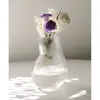 گلدان شیشه ای مدل اسکواش