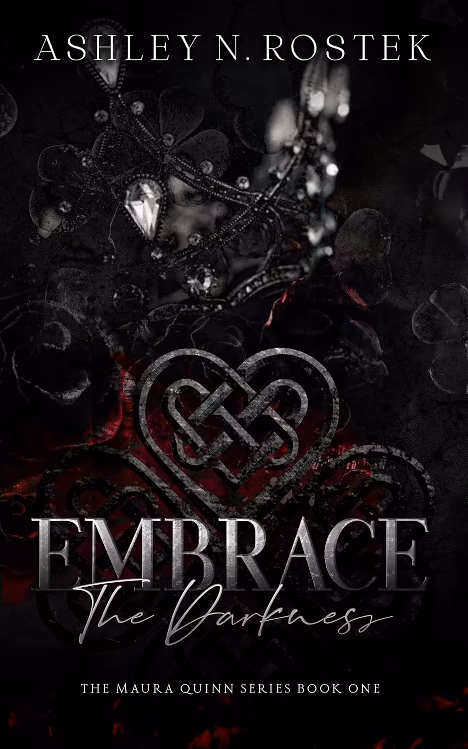 Embrace the Darkness (The Maura Quinn Series Book 1)