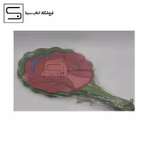 آینه کد1 / 59574