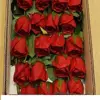 گل مصنوعی تولیپ مدل رز کد 272 مجموعه 3 عددی